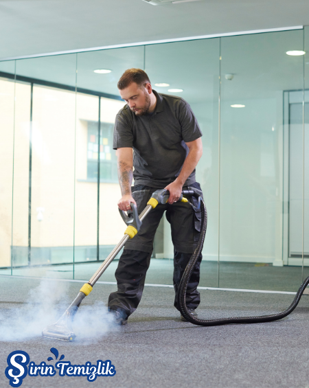 sirintemizlikprojeler3