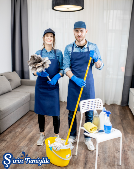 sirintemizlikprojeler4